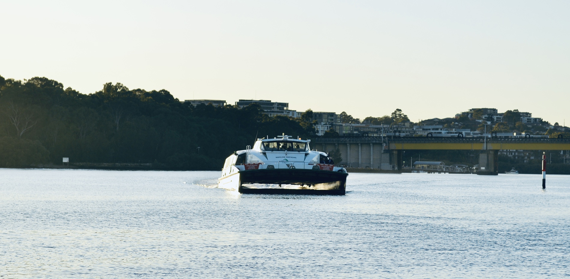 Summer Ferry services here to stay on the Parramatta River Main Image